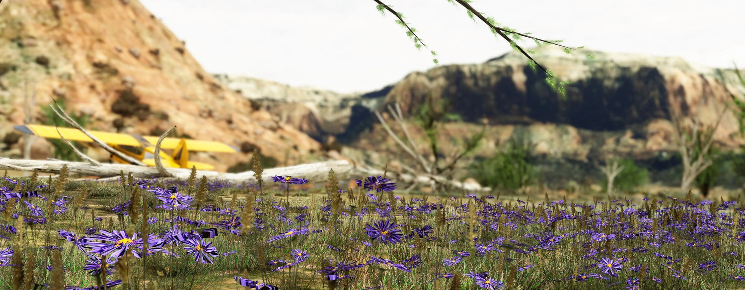 UPDATE: Leaving Xbox Series S in the weeds at 42MX. Sorry! An update is ready…