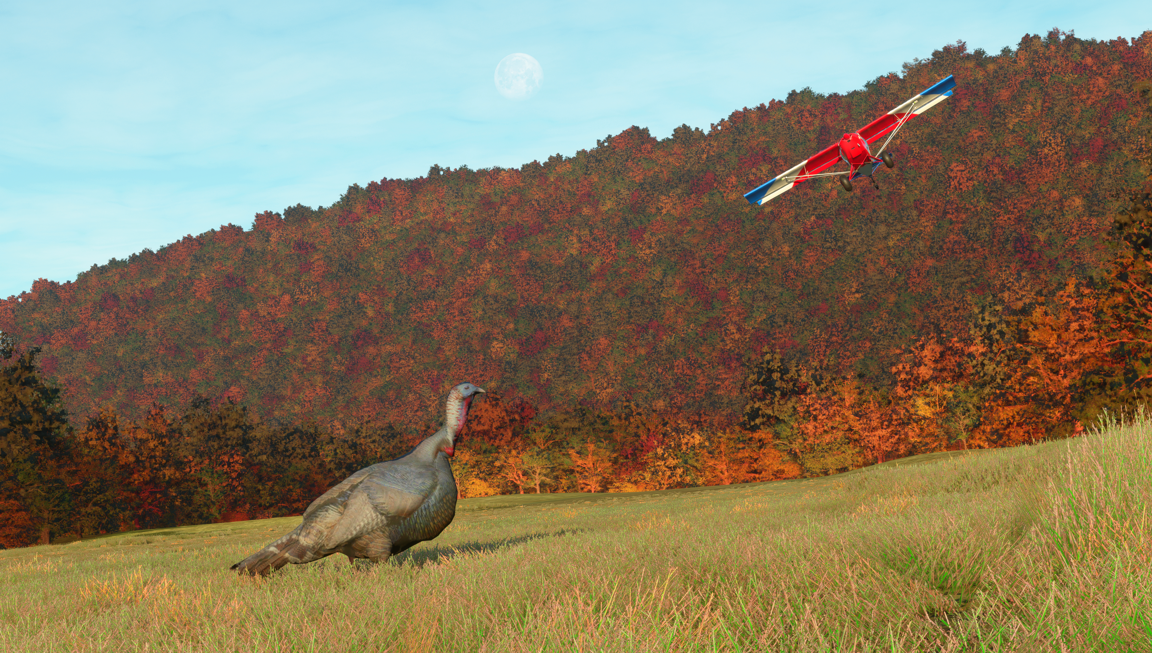 Cheat River Island (2020)