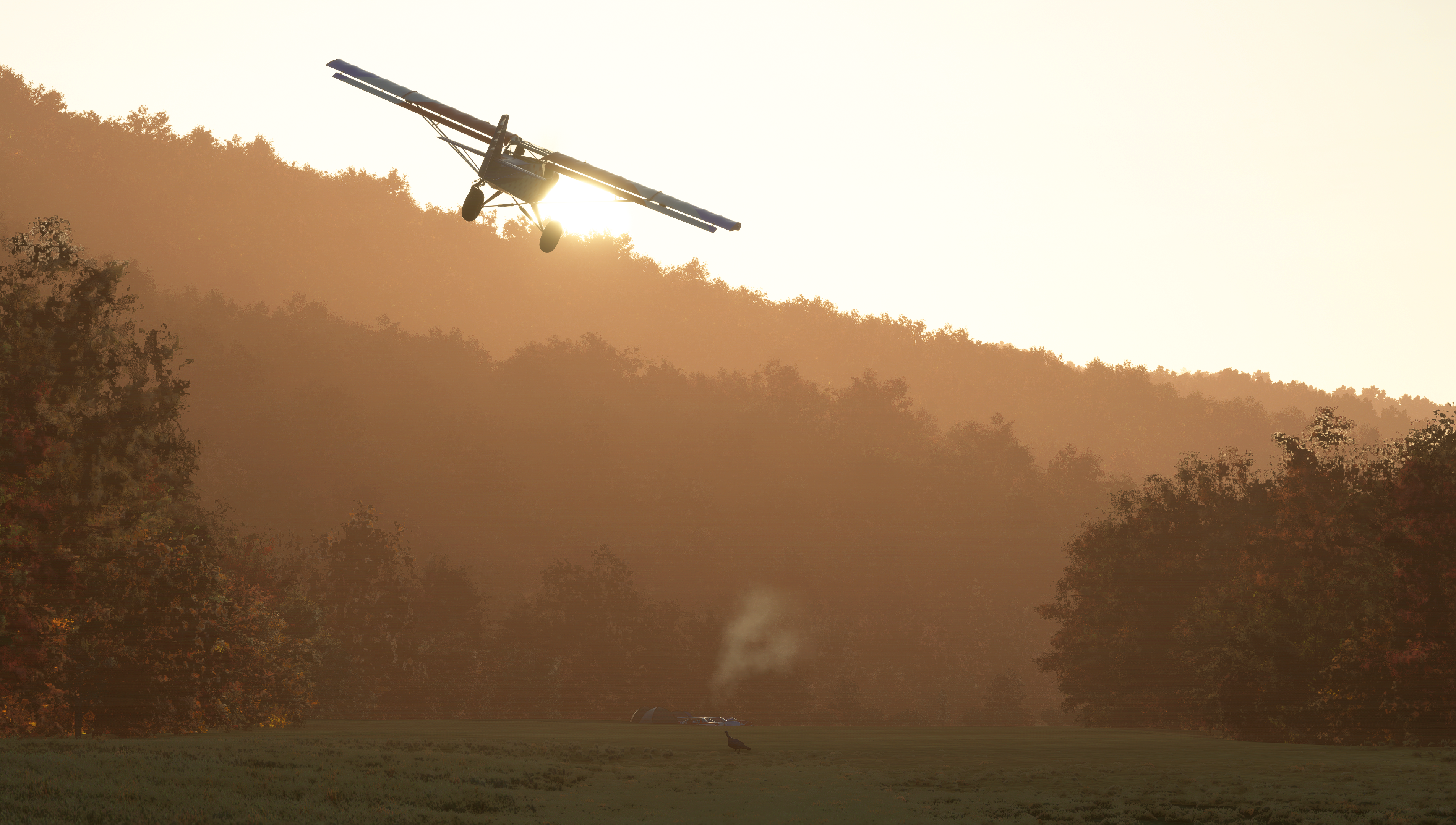 Cheat River Island (2020)