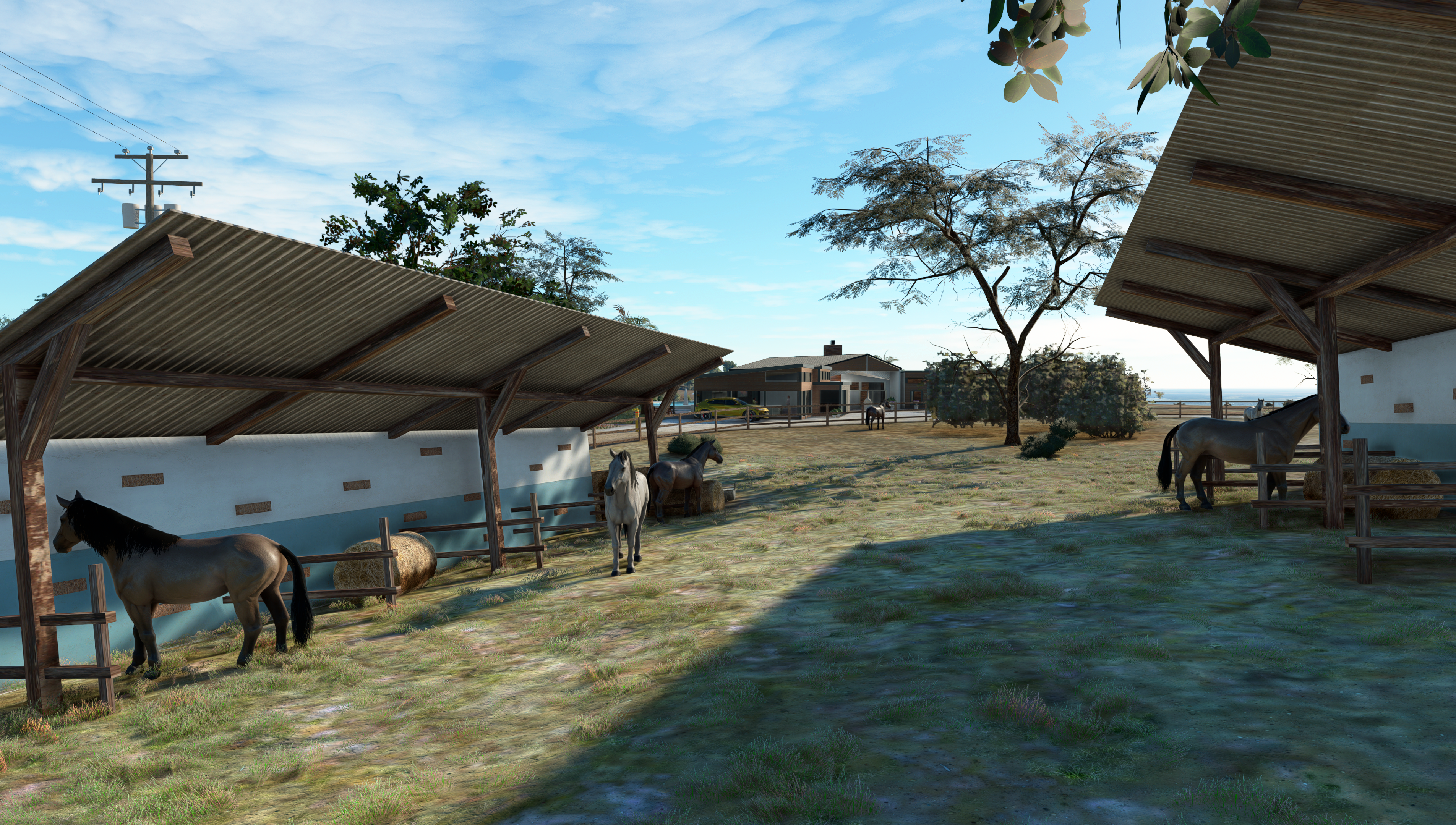 Hogsback Ranch (2020)