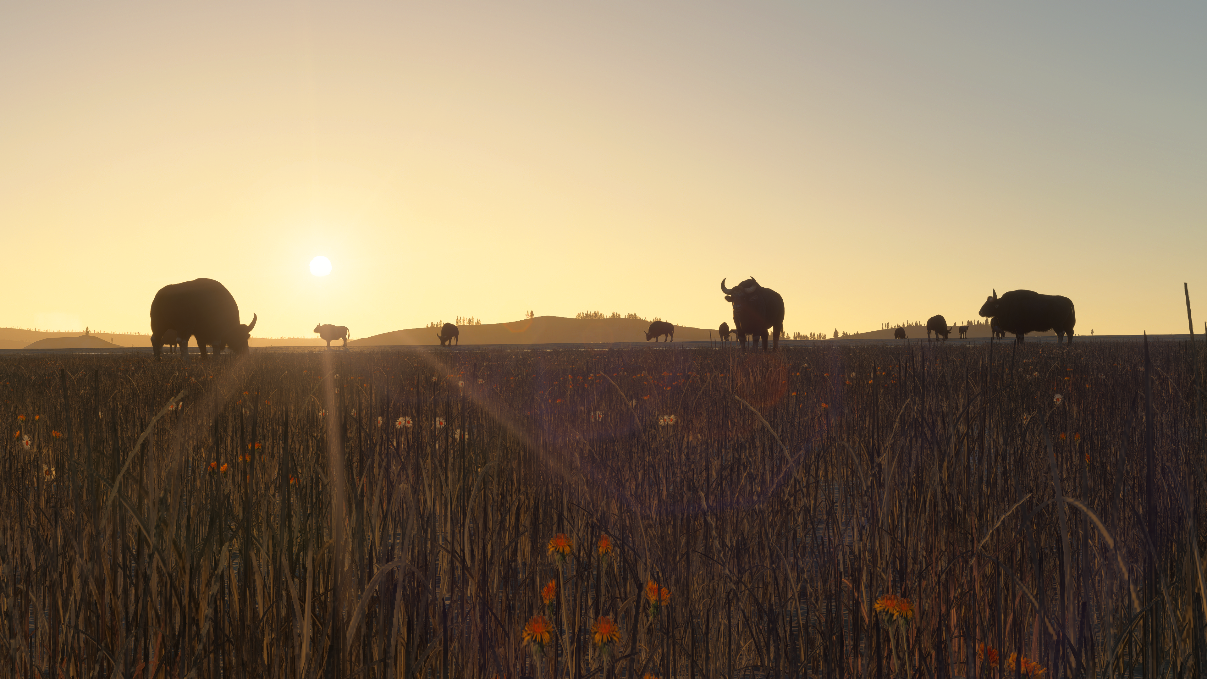 Circle B Ranch