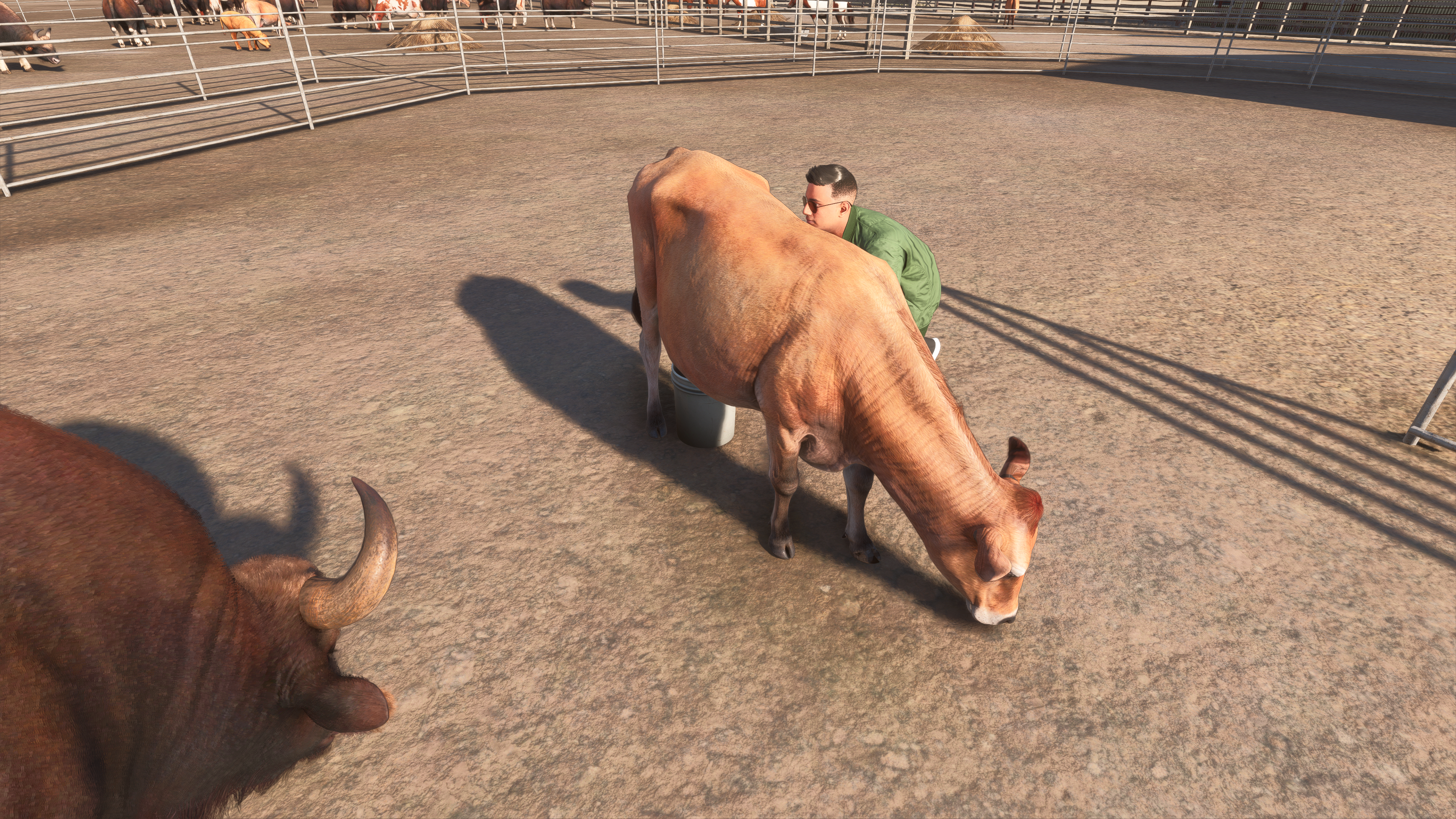 Circle B Ranch