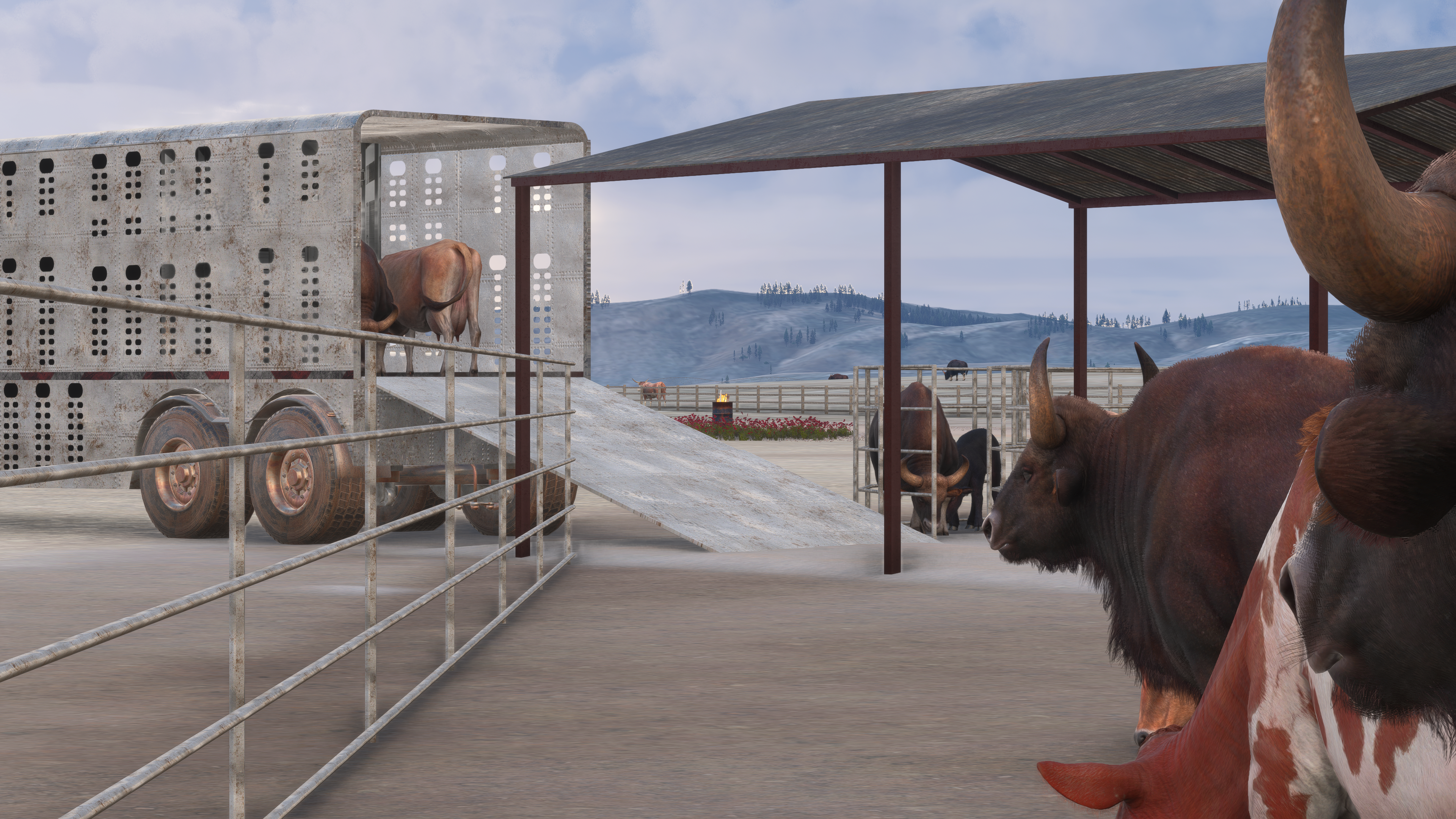 Circle B Ranch