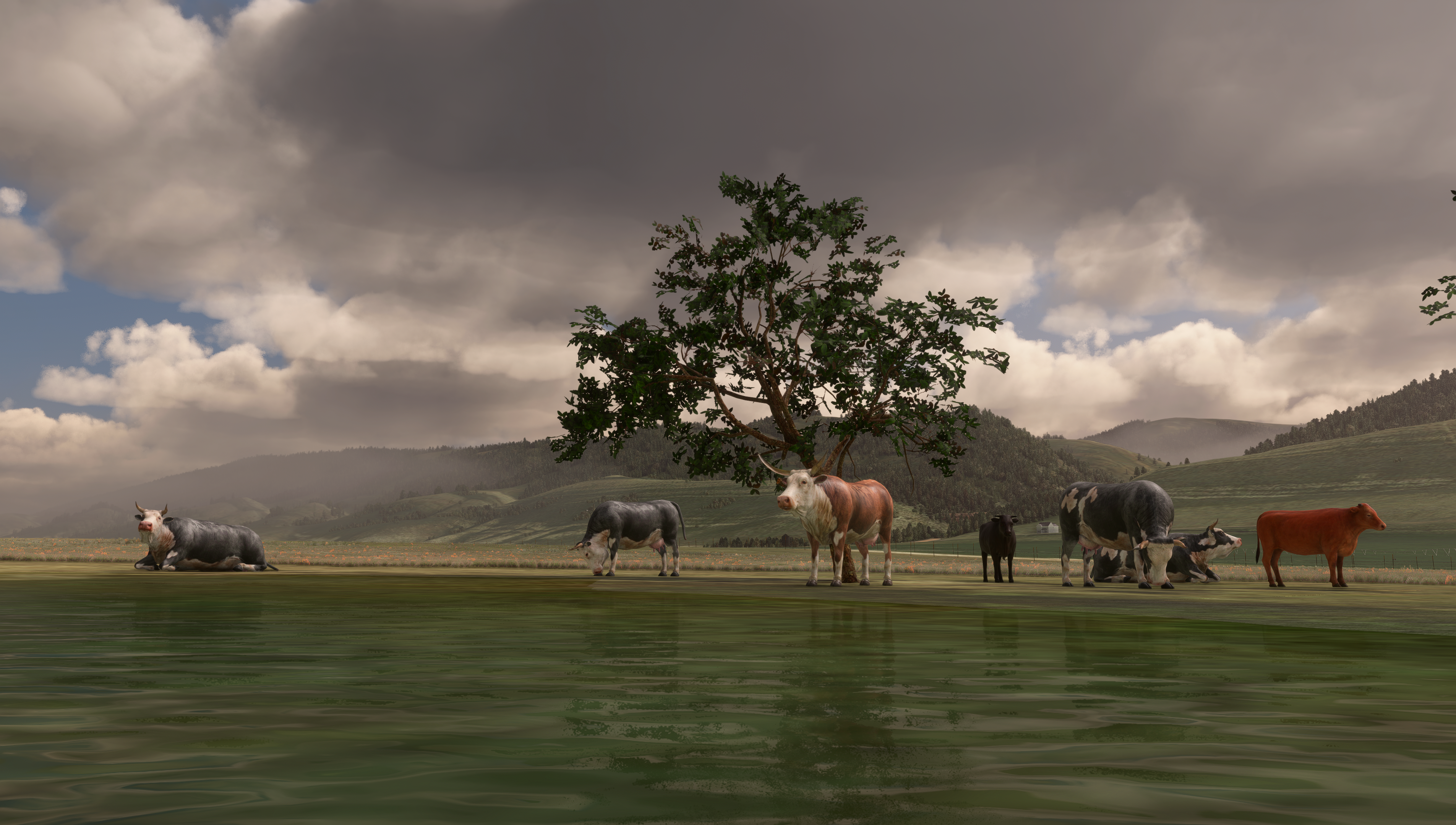 Circle B Ranch (2020)