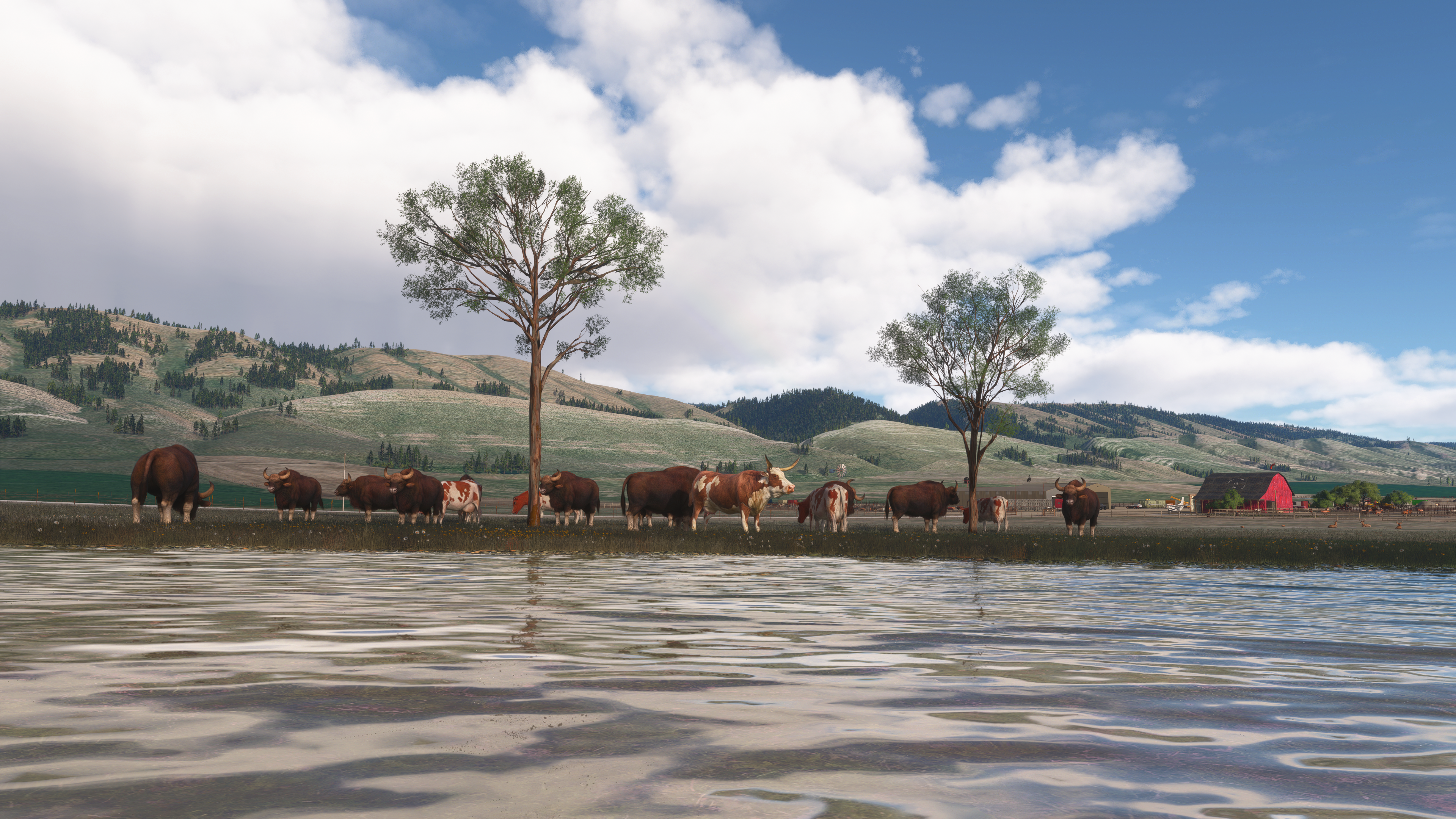 Circle B Ranch