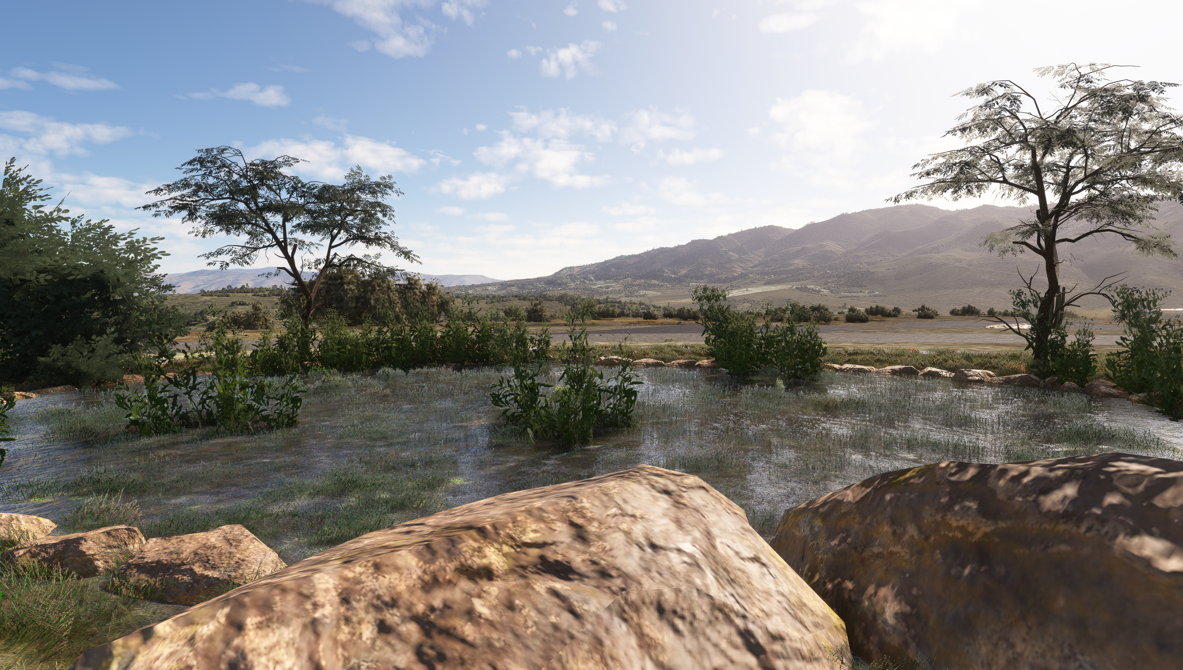 Desert Oasis