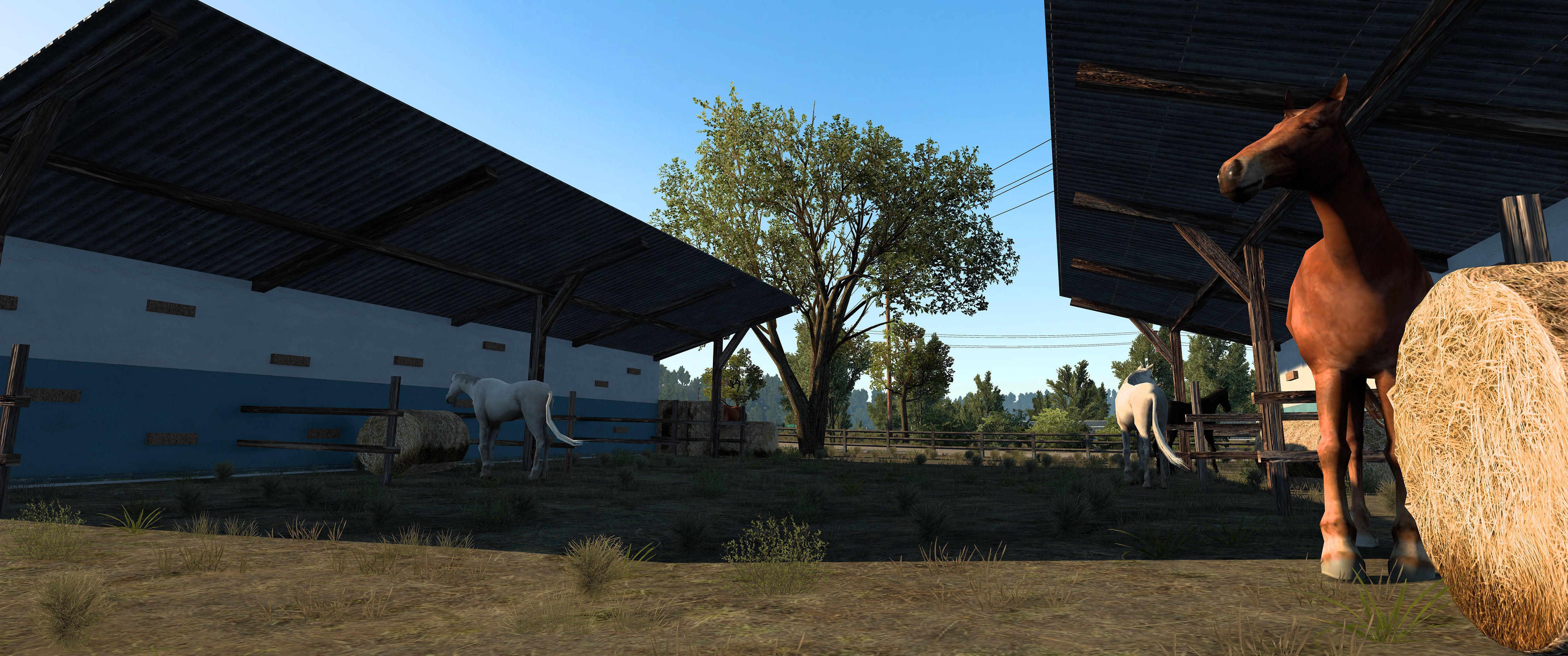 Hogsback Ranch (ATS)