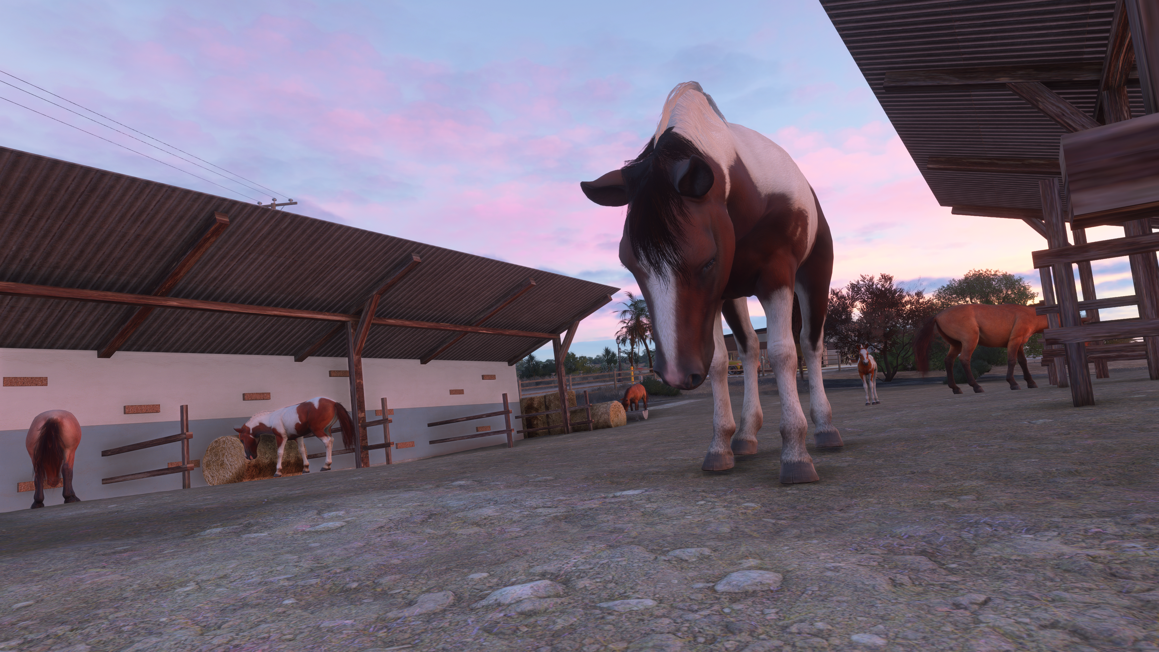 Hogsback Ranch