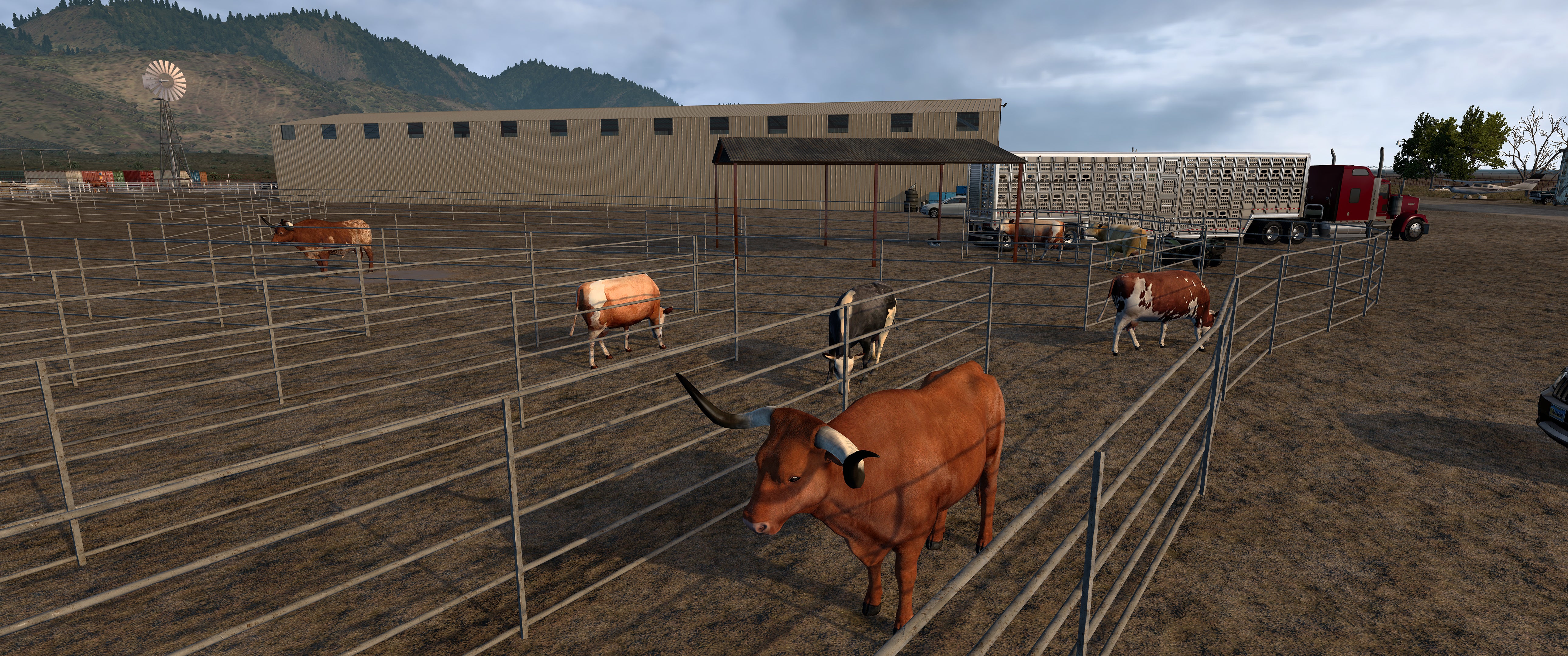Circle B Ranch (ATS)