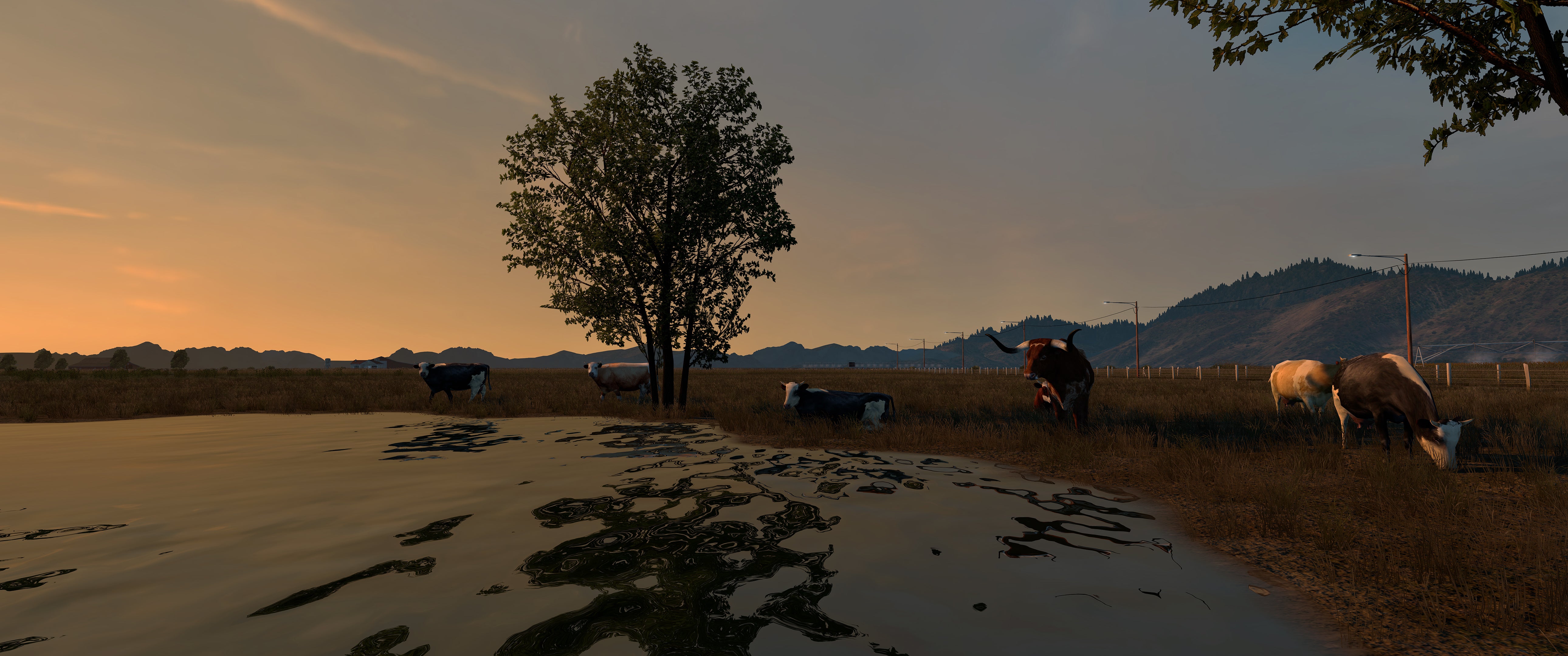 Circle B Ranch (ATS)