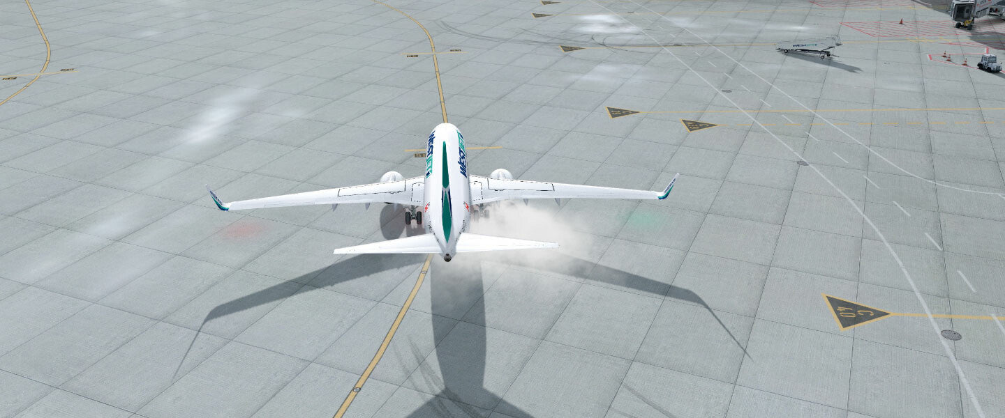 737 Immersion (Legacy)