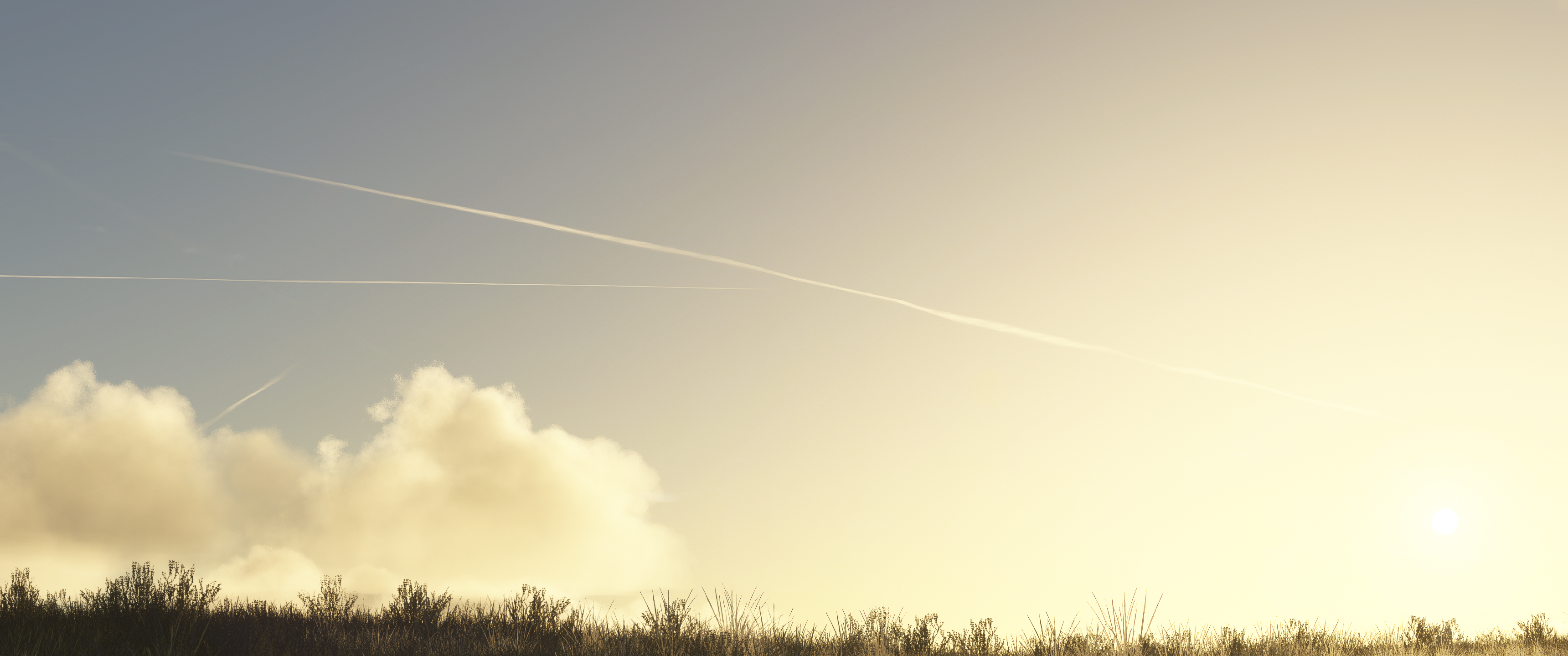 Skytrails